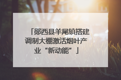 郧西县羊尾镇搭建调制大棚激活烟叶产业“新动能”