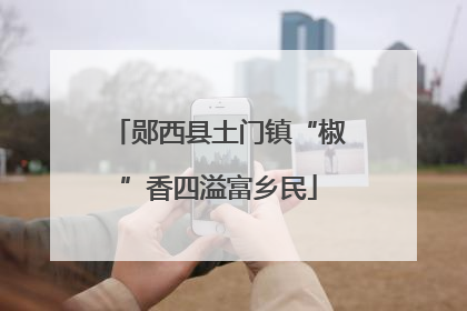 郧西县土门镇“椒”香四溢富乡民