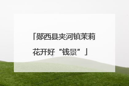 郧西县夹河镇茉莉花开好“钱景”
