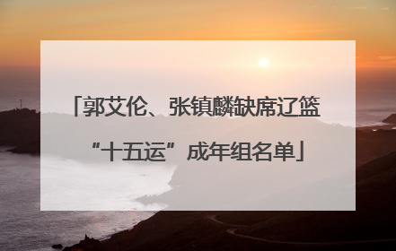 郭艾伦、张镇麟缺席辽篮“十五运”成年组名单