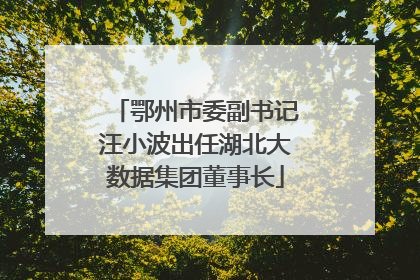 鄂州市委副书记汪小波出任湖北大数据集团董事长