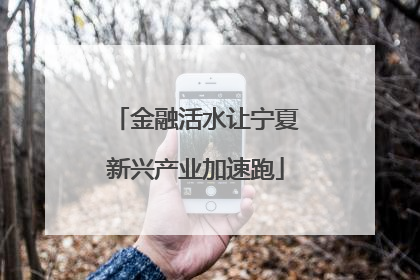金融活水让宁夏新兴产业加速跑