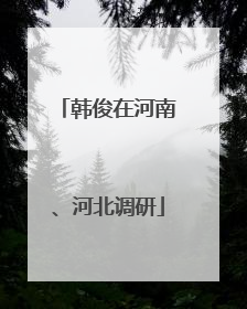 韩俊在河南、河北调研