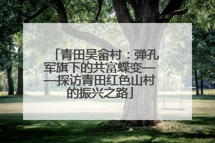 青田吴畲村：弹孔军旗下的共富蝶变——探访青田红色山村的振兴之路