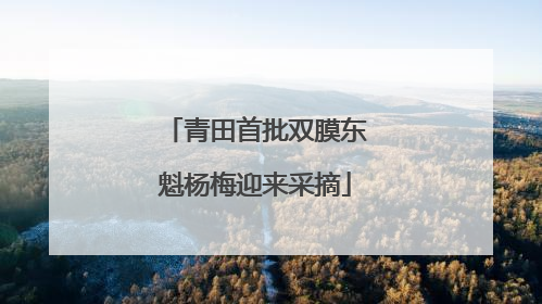 青田首批双膜东魁杨梅迎来采摘
