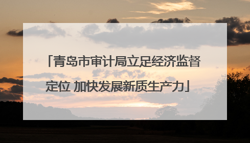 青岛市审计局立足经济监督定位 加快发展新质生产力