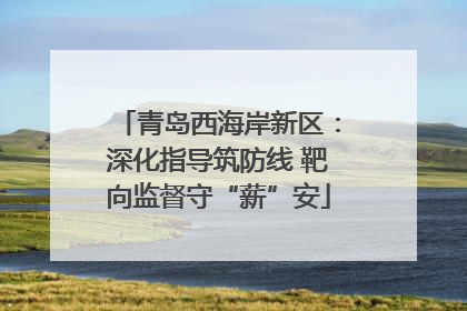 青岛西海岸新区：深化指导筑防线 靶向监督守“薪”安