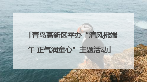 青岛高新区举办“清风拂端午 正气润童心”主题活动