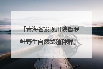 青海省发现川陕哲罗鲑野生自然繁殖种群
