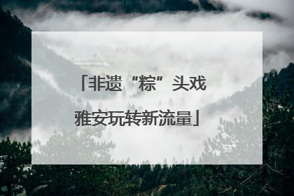 非遗“粽”头戏 雅安玩转新流量