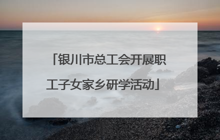 银川市总工会开展职工子女家乡研学活动