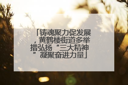 铸魂聚力促发展，黄鹤楼街道多举措弘扬“三大精神”凝聚奋进力量