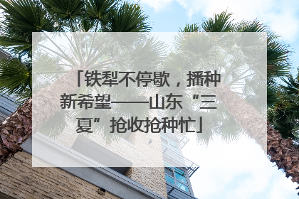 铁犁不停歇，播种新希望——山东“三夏”抢收抢种忙