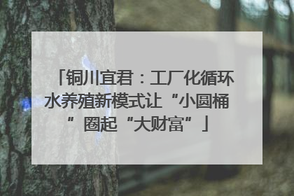铜川宜君：工厂化循环水养殖新模式让“小圆桶”圈起“大财富”