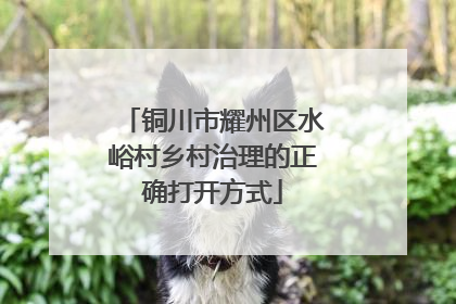 铜川市耀州区水峪村乡村治理的正确打开方式