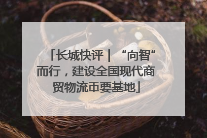 长城快评｜“向智”而行，建设全国现代商贸物流重要基地