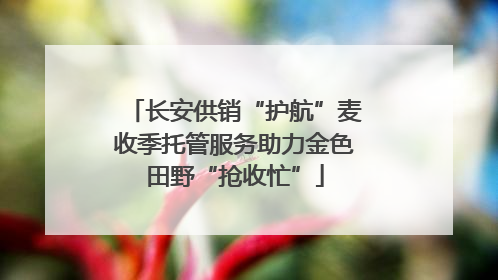 长安供销“护航”麦收季托管服务助力金色田野“抢收忙”