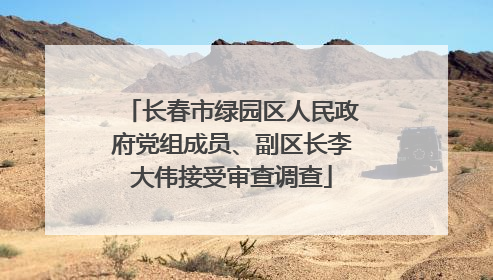 长春市绿园区人民政府党组成员、副区长李大伟接受审查调查
