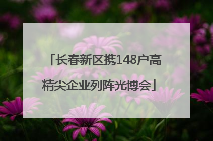 长春新区携148户高精尖企业列阵光博会