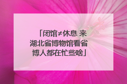 闭馆≠休息 来湖北省博物馆看省博人都在忙些啥