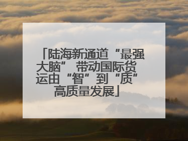 陆海新通道“最强大脑” 带动国际货运由“智”到“质”高质量发展
