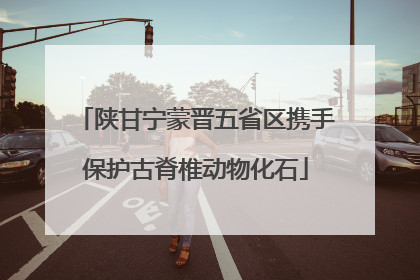 陕甘宁蒙晋五省区携手保护古脊椎动物化石