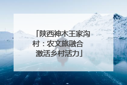 陕西神木王家沟村：农文旅融合 激活乡村活力