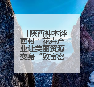 陕西神木铧西村：花卉产业让美丽资源变身“致富密码”