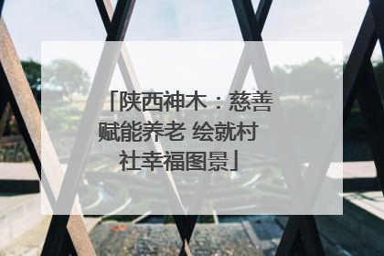 陕西神木：慈善赋能养老 绘就村社幸福图景
