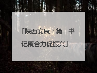 陕西安康：第一书记聚合力促振兴