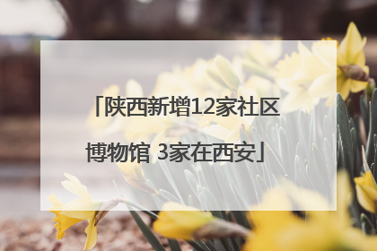陕西新增12家社区博物馆 3家在西安