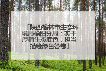 陕西榆林市生态环境局榆阳分局：实干厚植生态底色，担当描绘绿色答卷