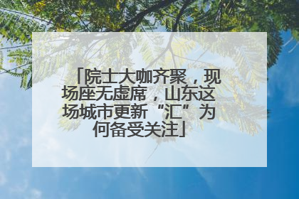 院士大咖齐聚，现场座无虚席，山东这场城市更新“汇”为何备受关注
