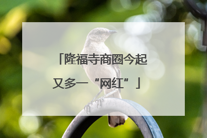 隆福寺商圈今起又多一“网红”