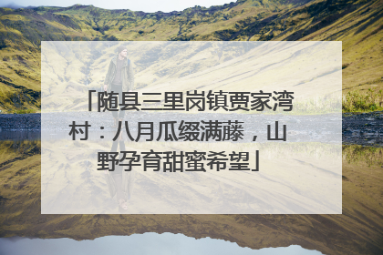 随县三里岗镇贾家湾村：八月瓜缀满藤，山野孕育甜蜜希望