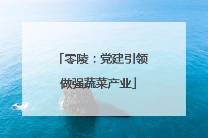 零陵：党建引领 做强蔬菜产业