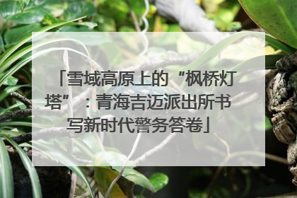 雪域高原上的“枫桥灯塔”：青海吉迈派出所书写新时代警务答卷