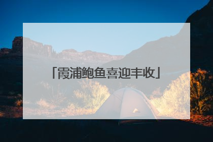 霞浦鲍鱼喜迎丰收