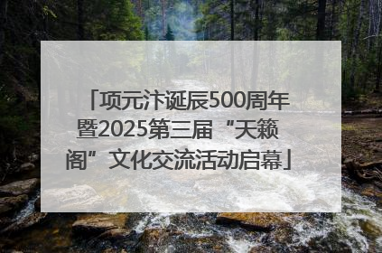 项元汴诞辰500周年暨2025第三届“天籁阁”文化交流活动启幕