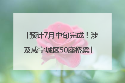预计7月中旬完成！涉及咸宁城区50座桥梁