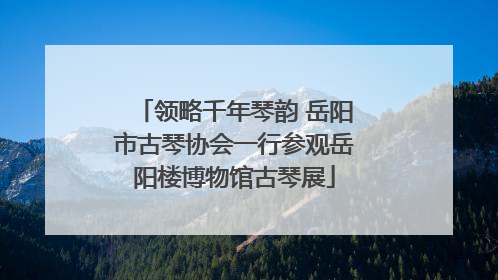 领略千年琴韵 岳阳市古琴协会一行参观岳阳楼博物馆古琴展