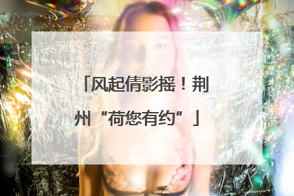 风起倩影摇！荆州“荷您有约”