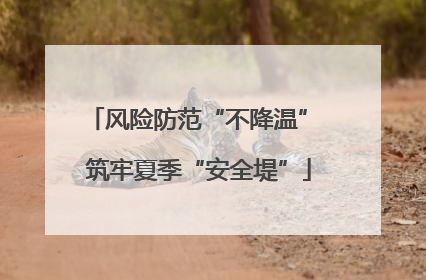 风险防范“不降温” 筑牢夏季“安全堤”