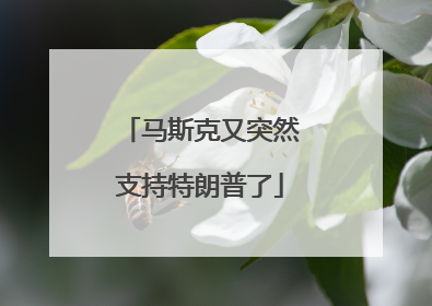 马斯克又突然支持特朗普了