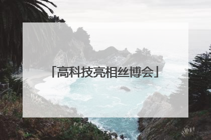 高科技亮相丝博会