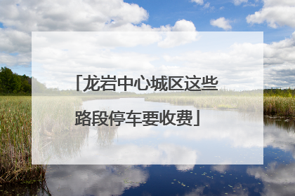 龙岩中心城区这些路段停车要收费