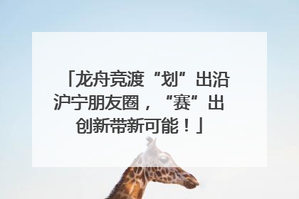 龙舟竞渡“划”出沿沪宁朋友圈，“赛”出创新带新可能！