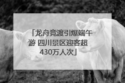 龙舟竞渡引爆端午游 四川景区迎客超430万人次