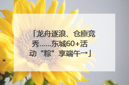 龙舟逐浪、仓廪竞秀……东城60+活动“粽”享端午→