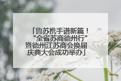 鲁苏携手谱新篇！“全省苏商德州行”暨德州江苏商会换届庆典大会成功举办